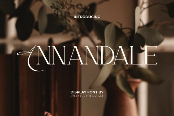 Annandale: A Sleek Serif Display Font for Modern Web Design