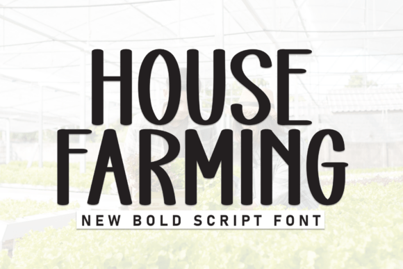 House Farming Typeface: A Web Designer’s Honest Review